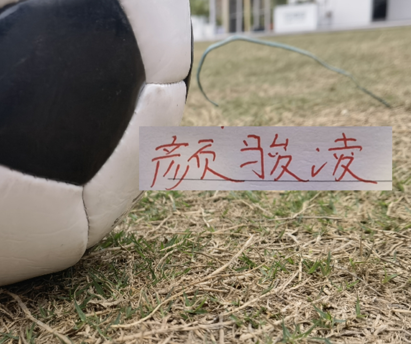 博鱼体育官方网站-虽然被喀麦隆上课！但中超豪门球员发挥也给力 颜骏凌多次有神扑